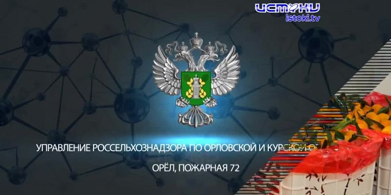 Экспертное мнение 17.12.2025