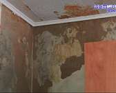 Райские условия, но не для людей, а для плесени. Залитый подвал и дырявая крыша встретили нашу съемочную группу в доме на улице Веселая