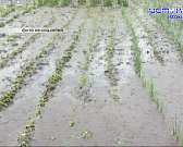 Орловский депздрав опозорился на всю страну, Клычков с Лежневым уехали в Белгород, а в детском парке открыли спортплощадку - об этом в следующей рубри...