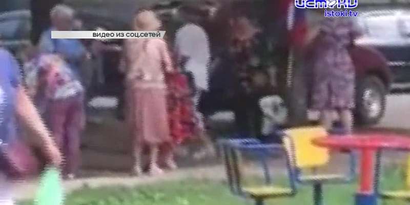 Видео: на голосовании в орловском дворе подрались пенсионеры