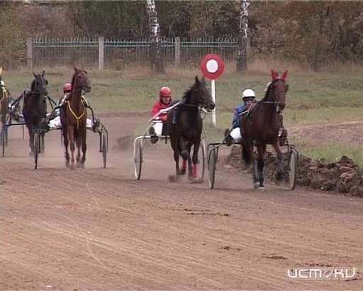 В субботу на орловском ипподроме откроют беговой сезон