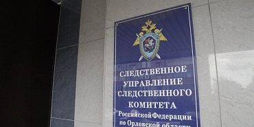 В Орле мужчина получил 2,5 года колонии за призывы к терроризму в сети