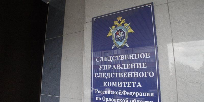 В Орле мужчина получил 2,5 года колонии за призывы к терроризму в сети