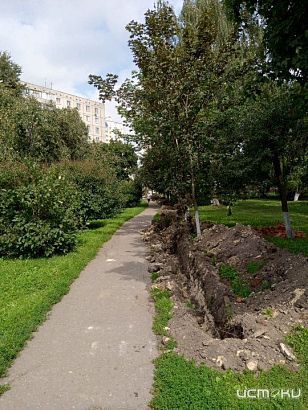 В Орле на Прокуровке станет светлее к началу учебного года