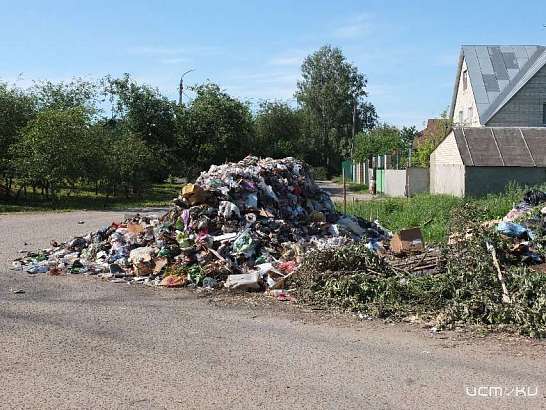 Перевозчик в Железнодорожном районе Орла сменился, а мусор остался