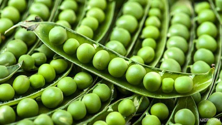 На Орловщину привезли почти 20 тонн сомнительного австрийского гороха 