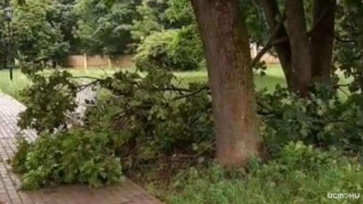 Поваленные деревья и затопленные улицы: по Орлу вновь пронесся ураган