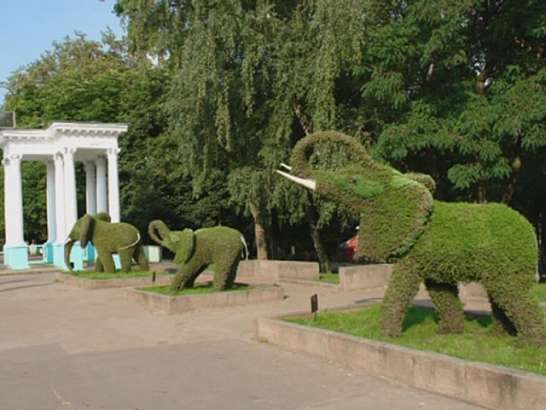 Самой "зеленой" организации города исполнилось 80 лет 