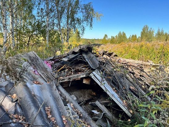 Строительный мусор выбрасывают в Андриабужском лесу в Орле уже много лет. А теперь еще и пилят деревья