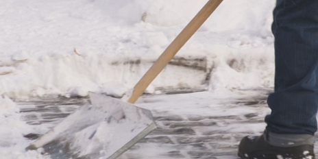 Стало известно сколько получает дворник в Орле