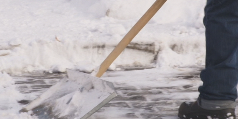 Стало известно сколько получает дворник в Орле