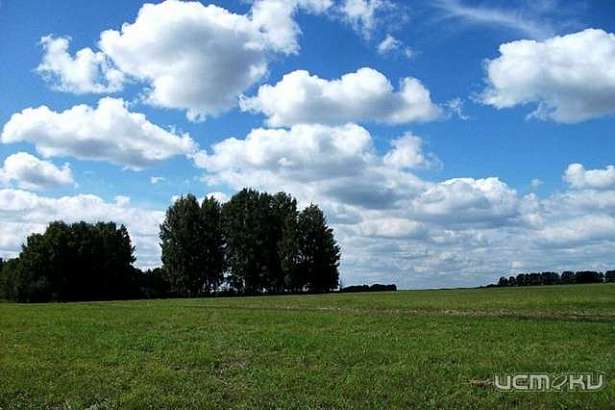 Погода в Орле на 21 августа