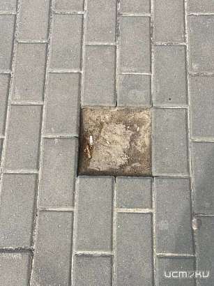 Таблички, которые "на века" покупали орловчане, исчезли с Александровского моста