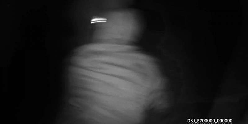 Видео: как проходило задержание браконьеров в заповеднике на Орловщине