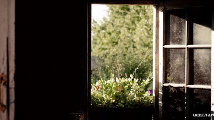 В Орле пенсионерка лишила соседку солнечного света 