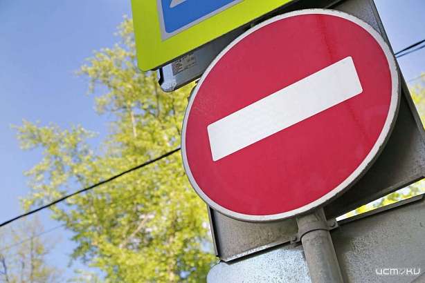 Из-за аварийных деревьев в Орле на некоторых улицах ограничат движение