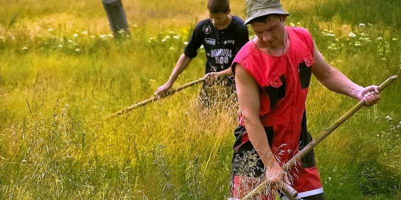 В Орле набирают косарей на летние работы