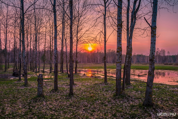 Орёл ожидает по-настоящему весеннюю погоду 