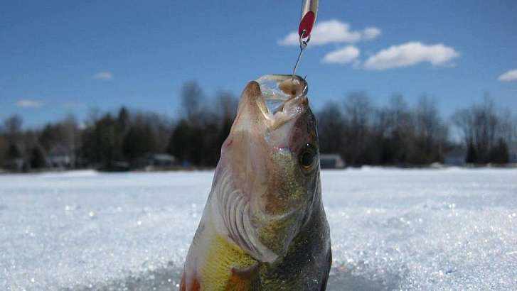 В Орле пройдет турнир по рыболовному спорту