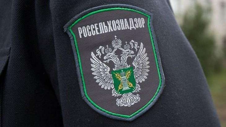 Продукция с истекшим сроком годности: Россельхознадзор отчитался о нарушениях на Орловщине