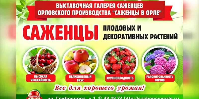 Выставочная галерея саженцев орловского производства ждет вас!