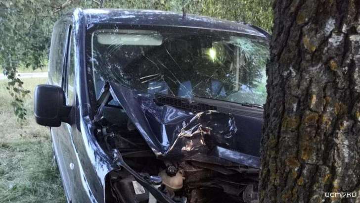 На Орловщине водитель микроавтобуса попал в больницу, влетев в дерево