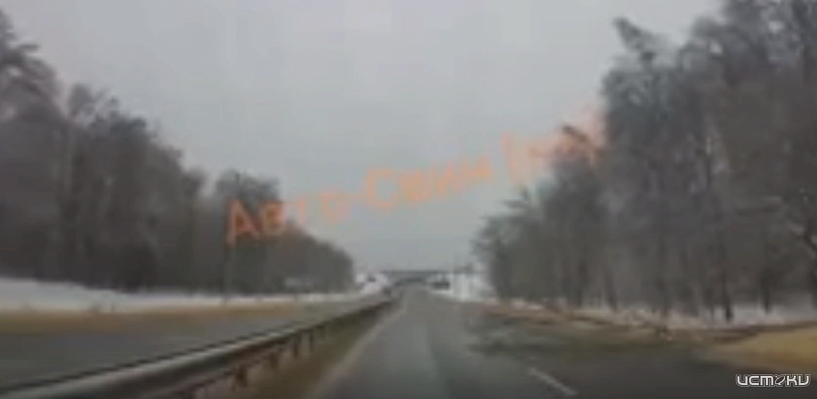 Дерево упало на орловской трассе 