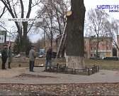 Дубу дали шанс на жизнь. После вмешательства активистов решение мэрии о спиле исторического дуба на Бульваре Победы отменили. Расскажем про это и исто...