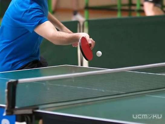 В Орле прошёл Кубок области по настольному теннису