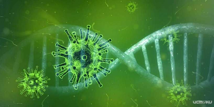 КОРОНАВИРУС ОСЛАБИЛ “БРЮГГЕ” ПЕРЕД МАТЧЕМ С “ЗЕНИТОМ”