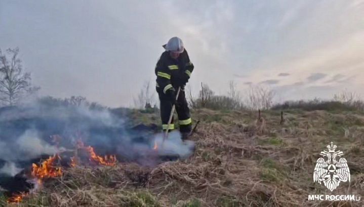 Орловские пожарные предупреждают: палы травы — это опасно и наказуемо!