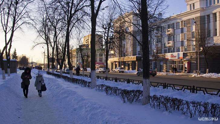 Тает снег: сегодня орловчан снова ждет плюсовая температура