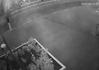 После ночной прогулки орловчанки в центре города поредела клумба