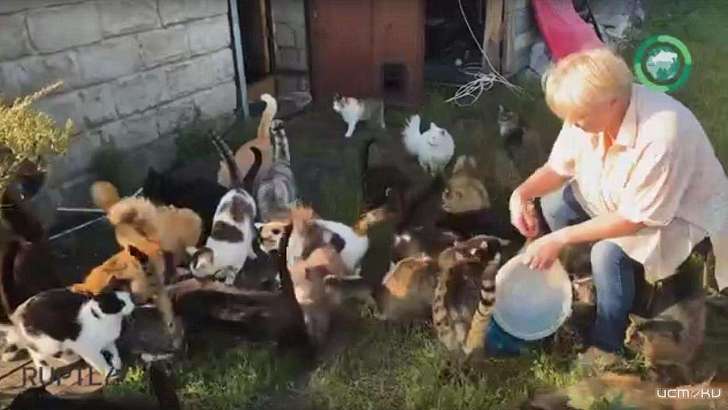 Орловчанка с большим сердцем создала приют для животных-инвалидов