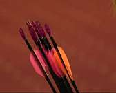 Орел принимает международные соревнования по стрельбе из лука