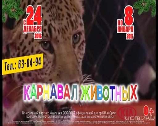 Карнавал животных в Орле!