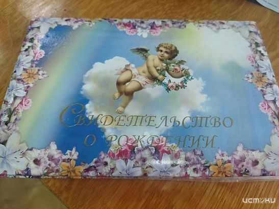 Орловчанка оформила пособия на несуществующих детей Зиту и Гиту