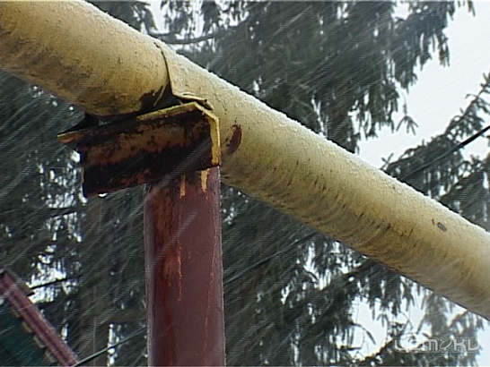 Миссия невыполнима - орловчанка не может срубить аварийное дерево уже 12 лет 