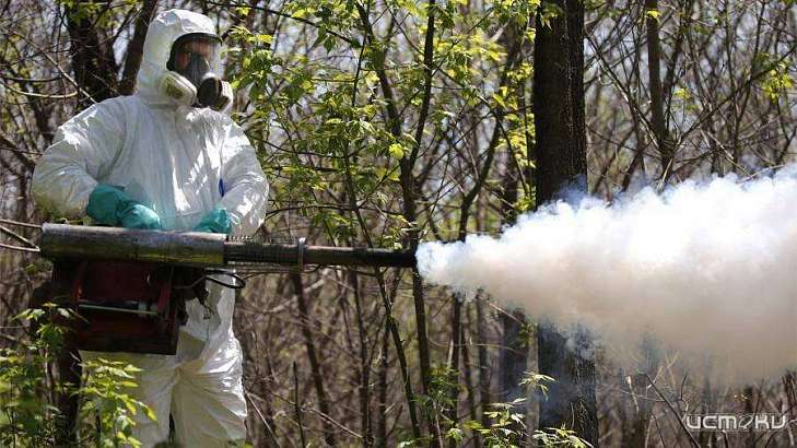 Парки Орла обработают от клещей с 15 до 17 апреля