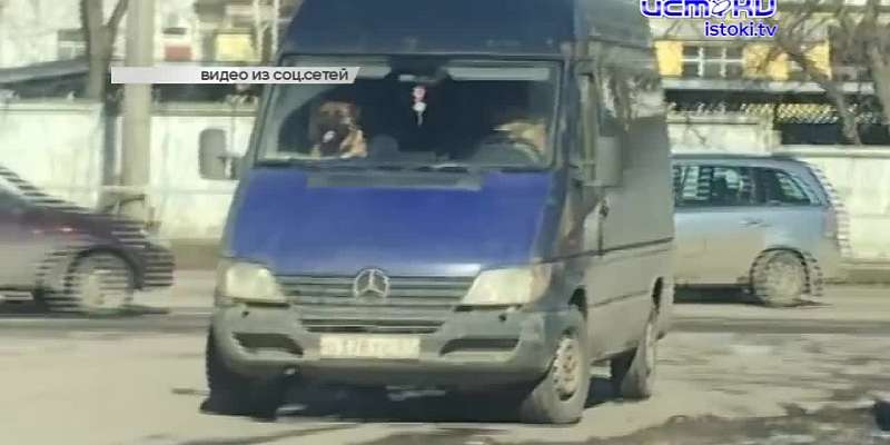 Орловчанин отобедал на автовокзале в компании тараканов, а в Лужках обнаружилась «лунная дорога»
