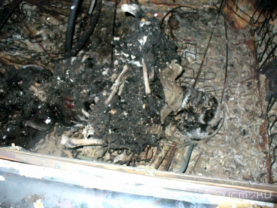 Новости за 90 секунд: в автомобиле сгорел мужчина, больше половины орловчан сдают экзамен ПДД со второго раза, а инспекторы ДПС наведываются на самые крупные парковки города