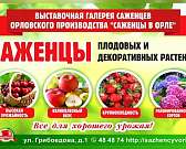 Районированные саженцы орловского производства