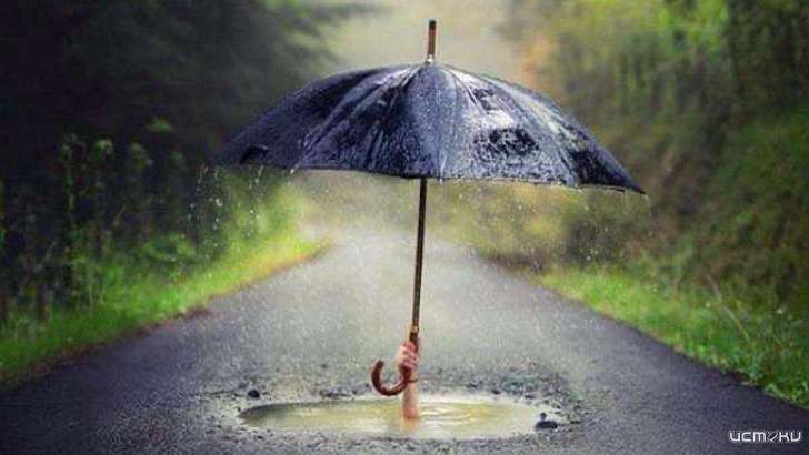 Выходные в Орле будут прохладными и дождливыми