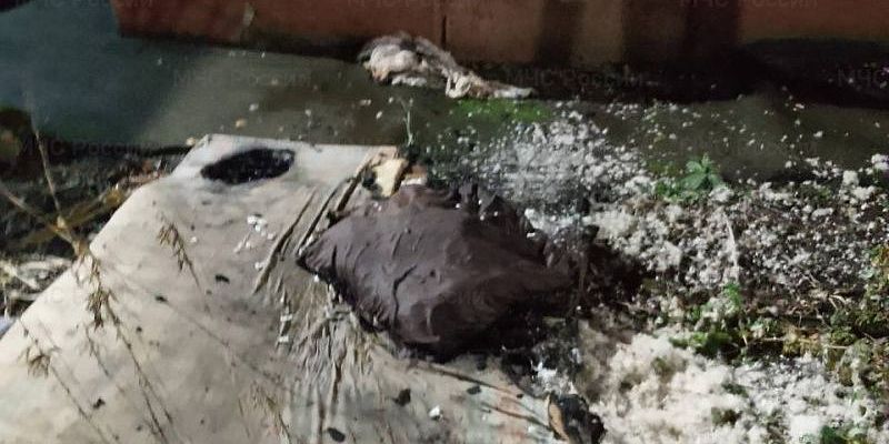 В Орле из горящей квартиры спасли молодого мужчину