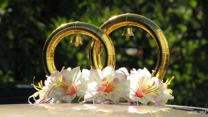 На Орловщине любителям шумных гуляний придется перенести дату свадьбы