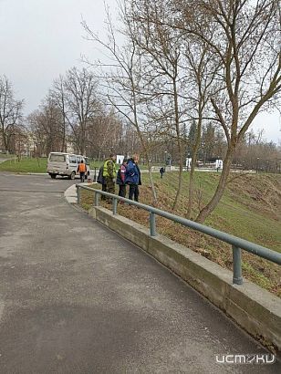 Орловская прокуратура нашла виновных в гибели деревьев в горпарке