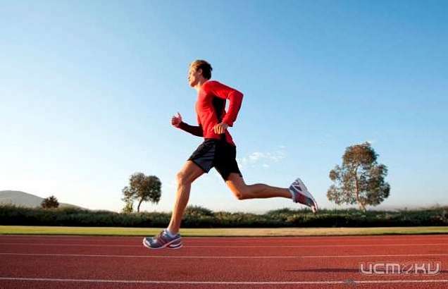 2000 орловчан присоединятся к «Кроссу нации» 2000 орловчан присоединятся к «Кроссу нации»