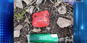 Дайджест 29.03.2025