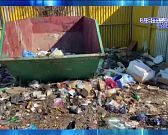 Шесть лет мусорной реформы превратили контейнерные площадки в помойки