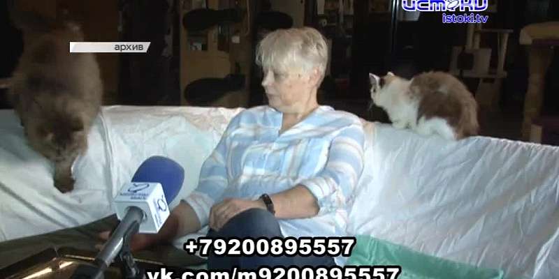 Лауреат конкурса "Учитель года" стал директором орловского лицея, орловский ветеран побывал на торжествах в Минске, а продолжительность жизни орловчан...